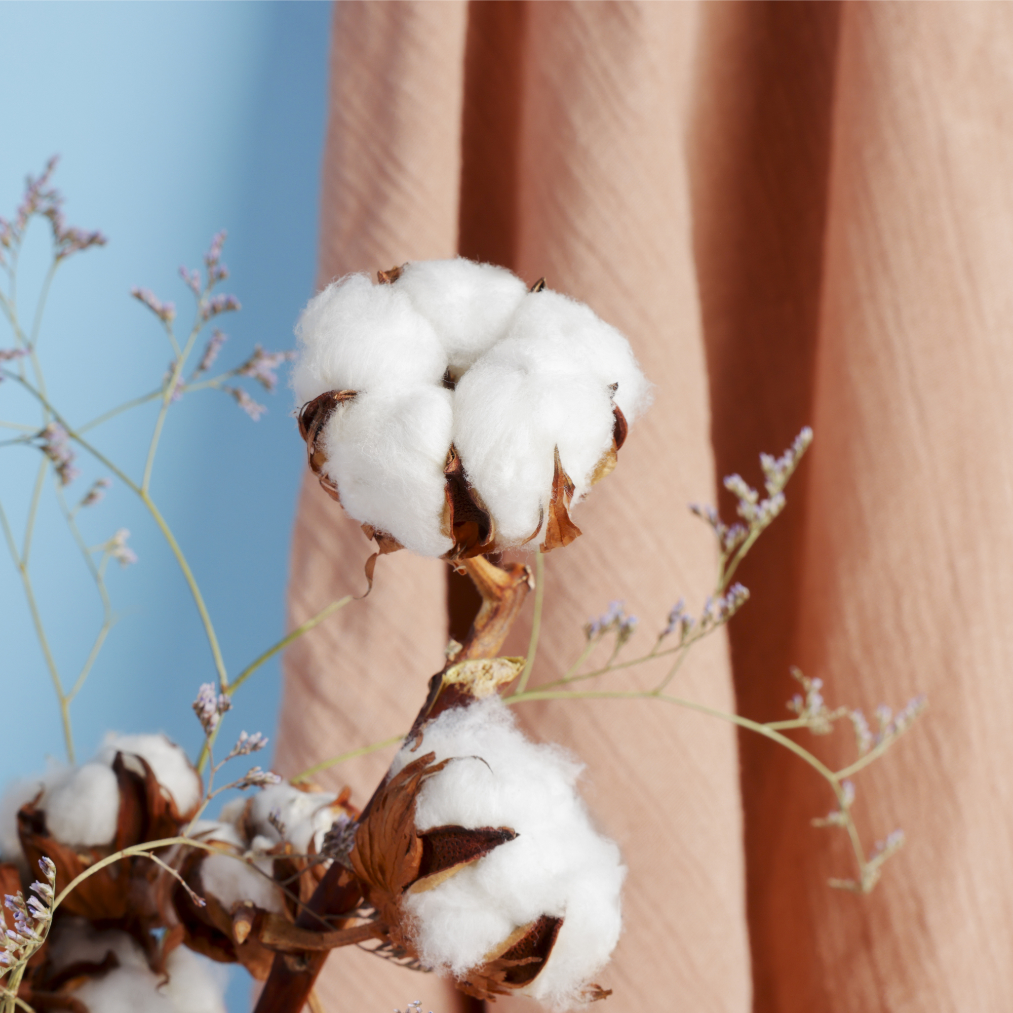 Unveiling the Versatility of Wholesale Cotton Fabric: A Guide by Nath Brothers.
