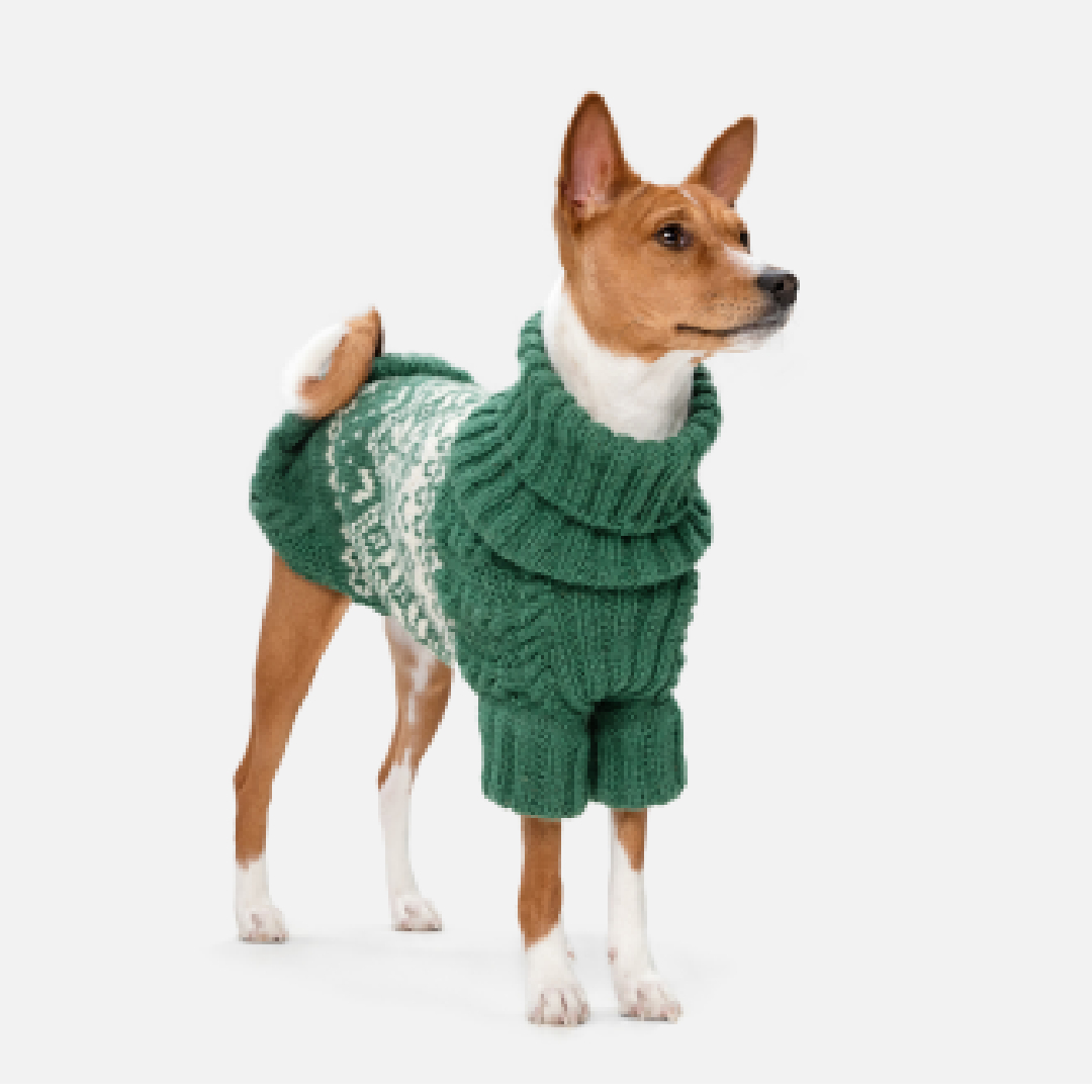 Top Trends in Pet Fashion for 2024: How to Dress Your Pets Stylishly